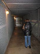 San Fran Vacation 284